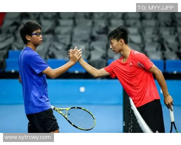 武汉网球队比赛经验深度对比与发展潜力分析 武汉网球队比赛经验深度对比与发展潜力分析