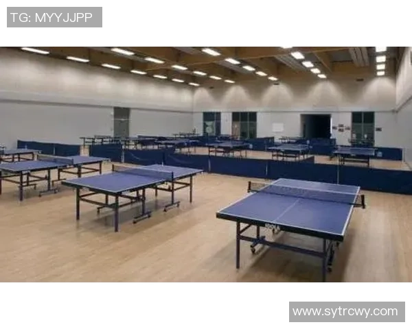 武汉乒乓球队的战术解析与深度剖析乒乓球竞技的阵地战策略