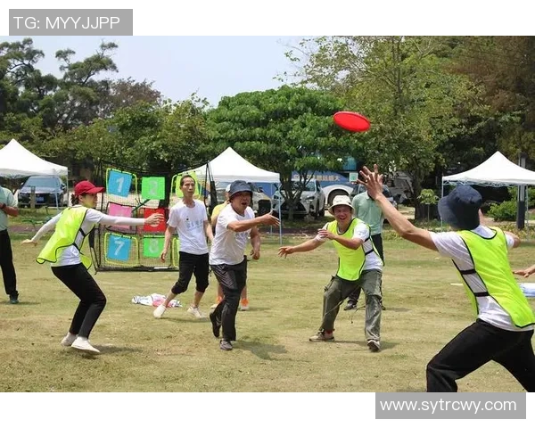 飞盘运动中的心理素质探讨：深入分析上海飞盘队的心态与表现