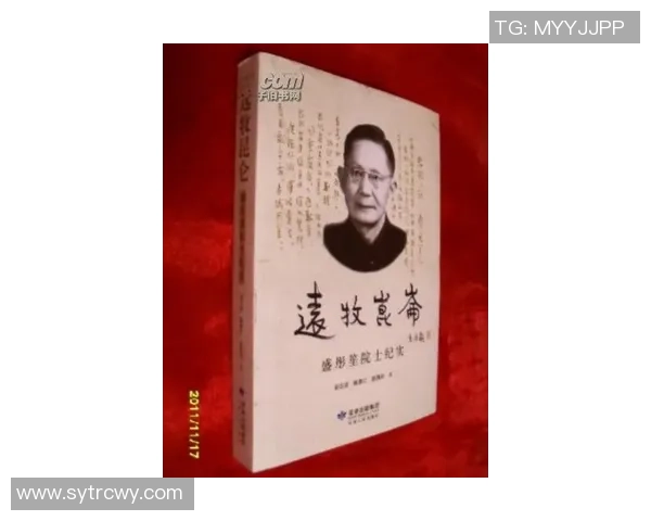 重庆网球队转型纪实：从传统到现代的网球发展之路探索与反思